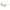 Jimmy Choo Multicolor Resin Sunglasses