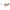 Jimmy Choo Brown Haircalf Sunglasses
