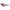 Guess Red Plastic Sunglasses