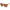 Guess Brown Resin Sunglasses
