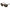 Guess Brown Resin Sunglasses