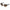 Marciano by Guess Brown Haircalf Sunglasses
