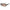 Guess Brown Resin Sunglasses