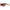Guess Brown Resin Sunglasses