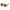 Marc Jacobs Brown Plastic Sunglasses