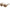 Marc Jacobs Multicolor Haircalf Sunglasses