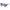 Polaroid Purple Plastic Sunglasses