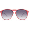 Polaroid Red Acetate Sunglasses