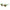 Polaroid Green Resin Sunglasses
