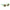 Polaroid Green Resin Sunglasses