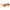 Polaroid Beige Resin Sunglasses