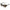 Furla Brown Acetate Sunglasses