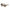 Furla Brown Acetate Sunglasses
