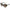 Furla Brown Plastic Sunglasses
