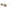 Furla Multicolor Metal Sunglasses