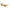 Police Brown Injected Sunglasses