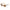Police Brown Injected Sunglasses