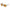 Police Brown Injected Sunglasses