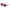 Police Multicolor Acetate Sunglasses