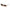 Police Green Acetate Sunglasses