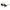 Police Brown Acetate Sunglasses
