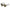 Police Green Acetate Sunglasses