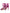 Dolce & Gabbana Pink Strass Ankle Strap Heels Sandals Shoes