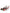 Dolce & Gabbana Multicolor Leather Crystal Heels Slingback Shoes