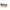 Philipp Plein Brown Acetate Sunglasses