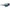 Nike Multicolor Injected Sunglasses