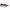 Philipp Plein Brown Acetate Sunglasses