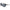 Nike Black Injected Sunglasses