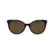 Nike Brown Injected Sunglasses