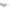 Nike Multicolor Injected Sunglasses