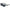 Nike Black Injected Sunglasses