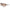 Nike Brown Injected Sunglasses