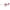 Longchamp Red Metal Sunglasses