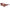 Longchamp Red Injected Sunglasses