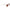 Longchamp Gray Bio Injected Sunglasses