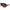 Longchamp Brown Haircalf Sunglasses