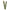 Timex Multicolor Nylon Watch