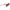 Longchamp Red Haircalf Sunglasses