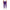 Icon Purple Cotton Jeans & Pant