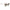 Missoni Multicolor Eco Pmma Sunglasses