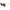 Missoni Brown Plastic/Plastic Sunglasses