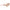 Karl Lagerfeld Orange Haircalf Sunglasses