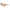 Karl Lagerfeld Orange Haircalf Sunglasses