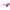 Karl Lagerfeld Multicolor Injected Sunglasses