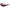 Karl Lagerfeld Red Injected Sunglasses