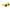 Karl Lagerfeld Yellow Injected Sunglasses